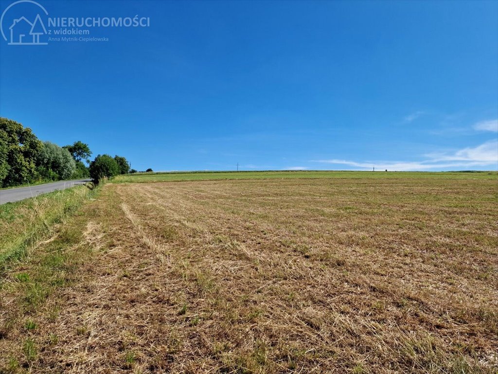 Działka budowlana na sprzedaż Turza  2 400m2 Foto 9