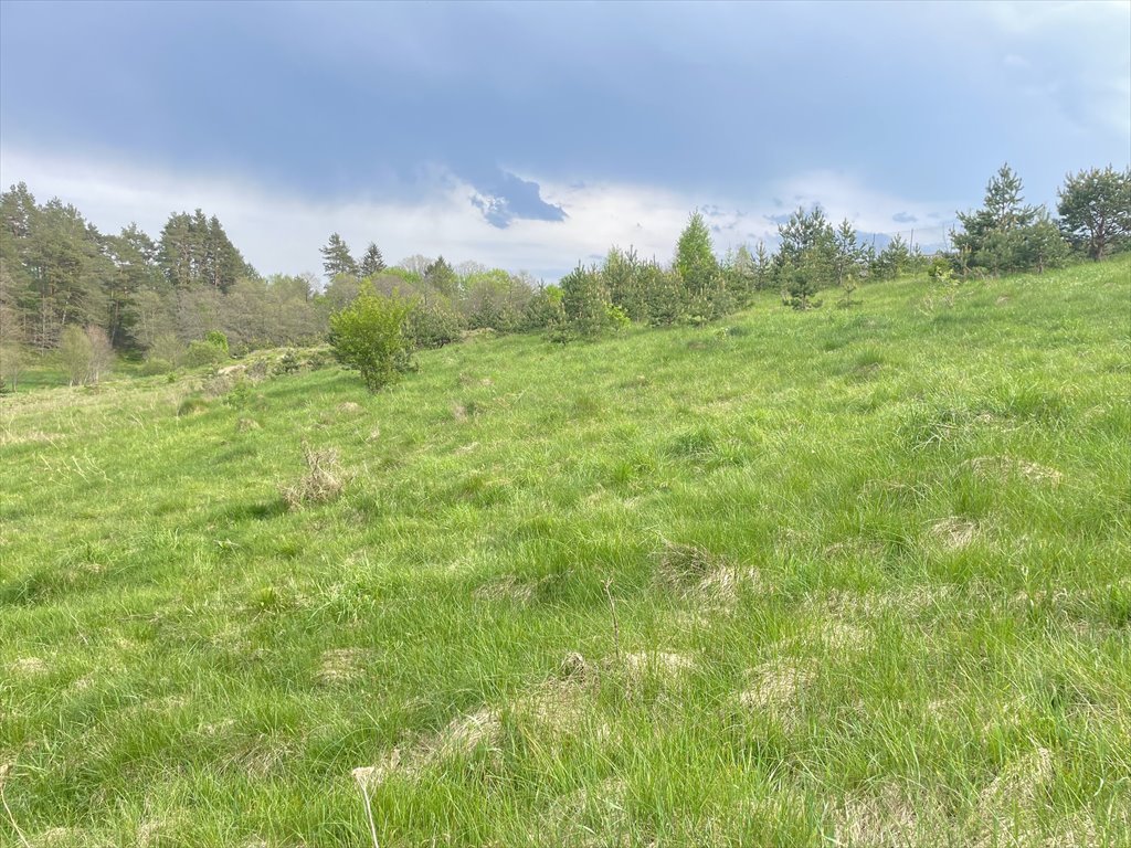 Działka budowlana na sprzedaż Koleczkowo, Bitwy Nad Ślężą  2 551m2 Foto 10