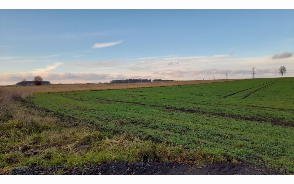 Działka budowlana na sprzedaż Krzeczyn Wielki, Krzeczyn Wielki  1 000m2 Foto 1