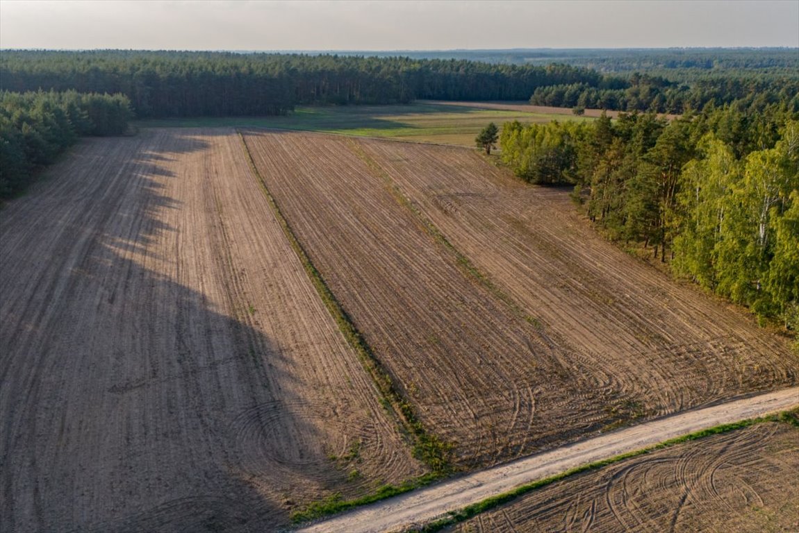 Działka rolna na sprzedaż Jesionka  6 800m2 Foto 10