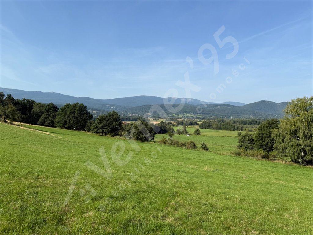 Działka budowlana na sprzedaż Sosnówka  13 864m2 Foto 1