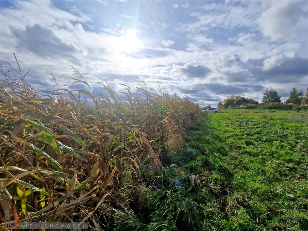 Działka inna na sprzedaż Cianowice Małe  1 213m2 Foto 2