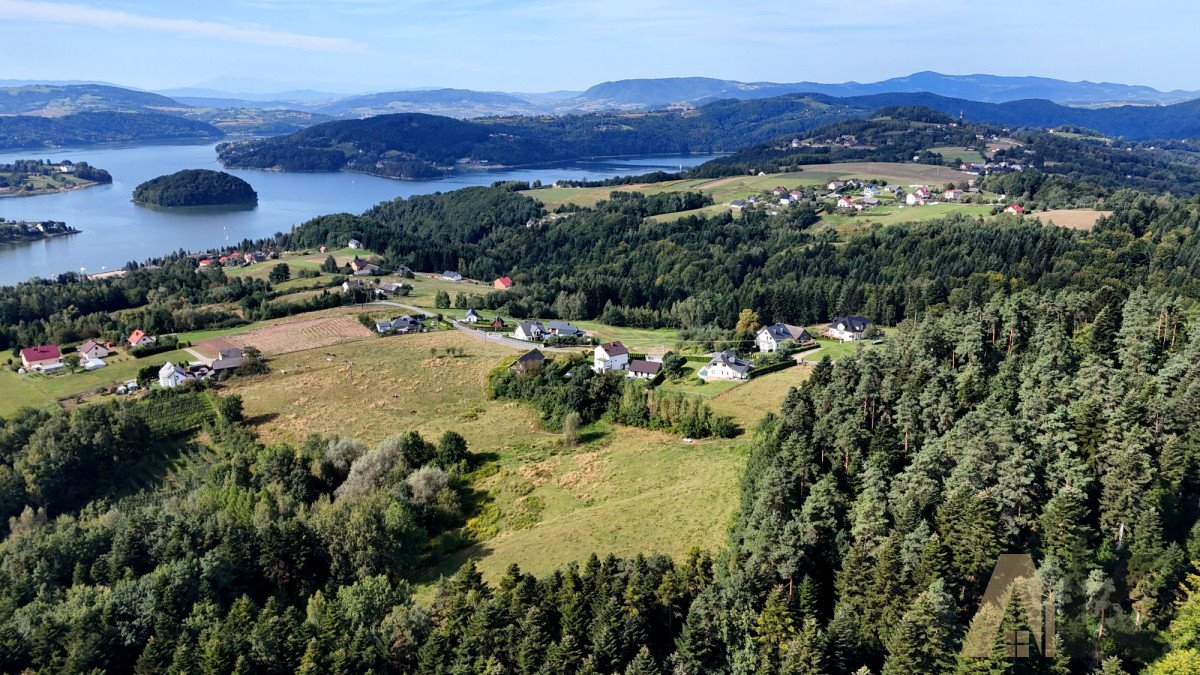 Działka rekreacyjna na sprzedaż Bartkowa-Posadowa  21 556m2 Foto 10