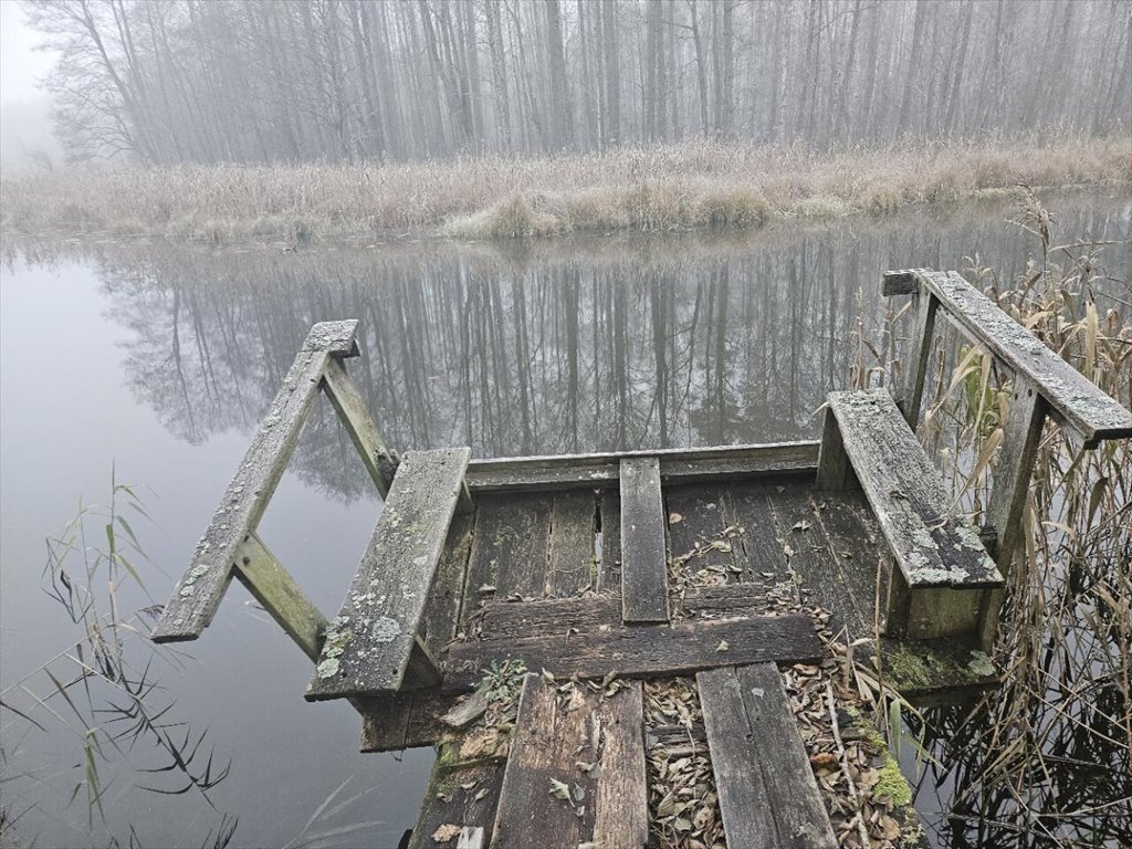 Działka rekreacyjna na sprzedaż Koczek  9 000m2 Foto 5