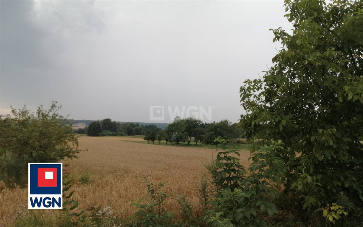 Działka rolna na sprzedaż Putnowice-Kolonia, Kolonia Putnowice  16 600m2 Foto 5