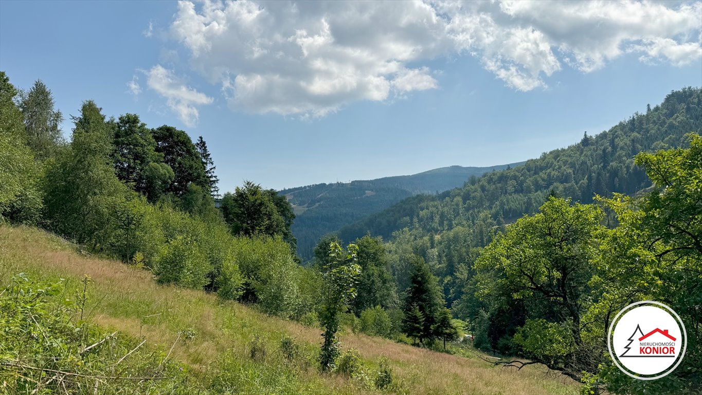 Działka inwestycyjna na sprzedaż Szczyrk, Salmopol, Wiślańska  45 000m2 Foto 10