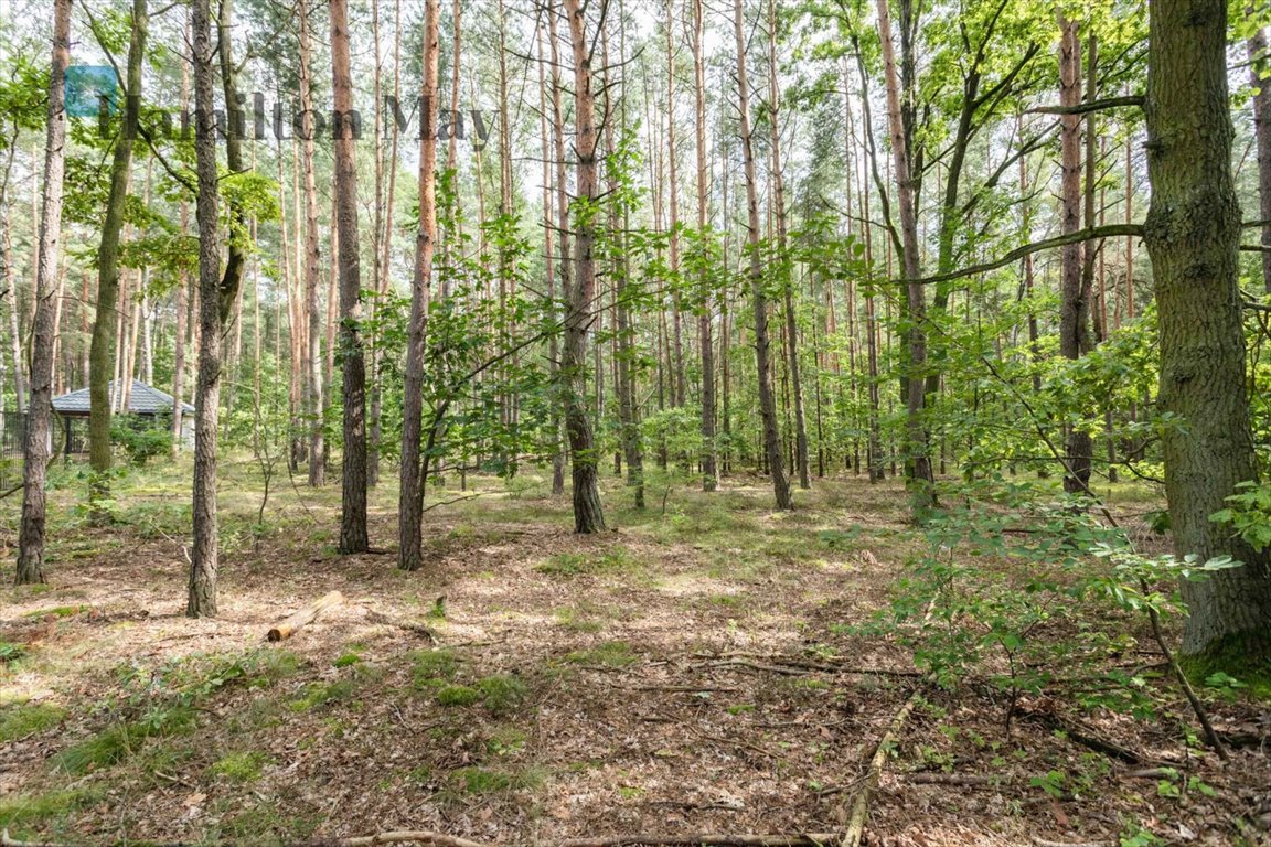 Działka inna na sprzedaż Sękocin-Las, Sękocin-Las, Sękocin Las  2 100m2 Foto 9