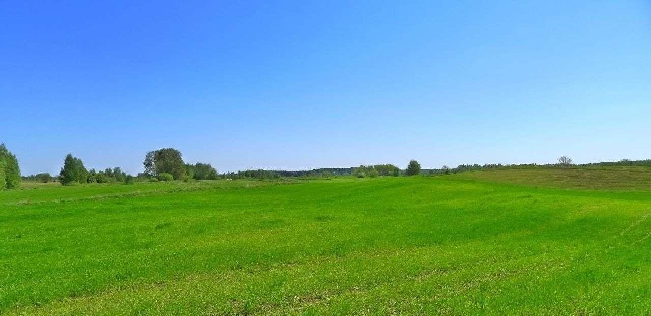 Działka rolna na sprzedaż Krasnopol  3 000m2 Foto 8