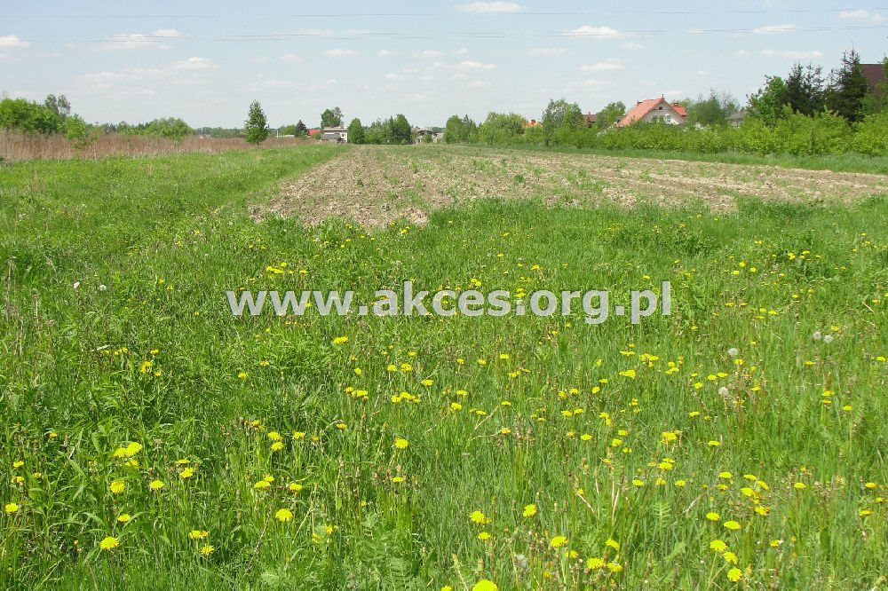 Działka budowlana na sprzedaż Jesówka  1 598m2 Foto 7