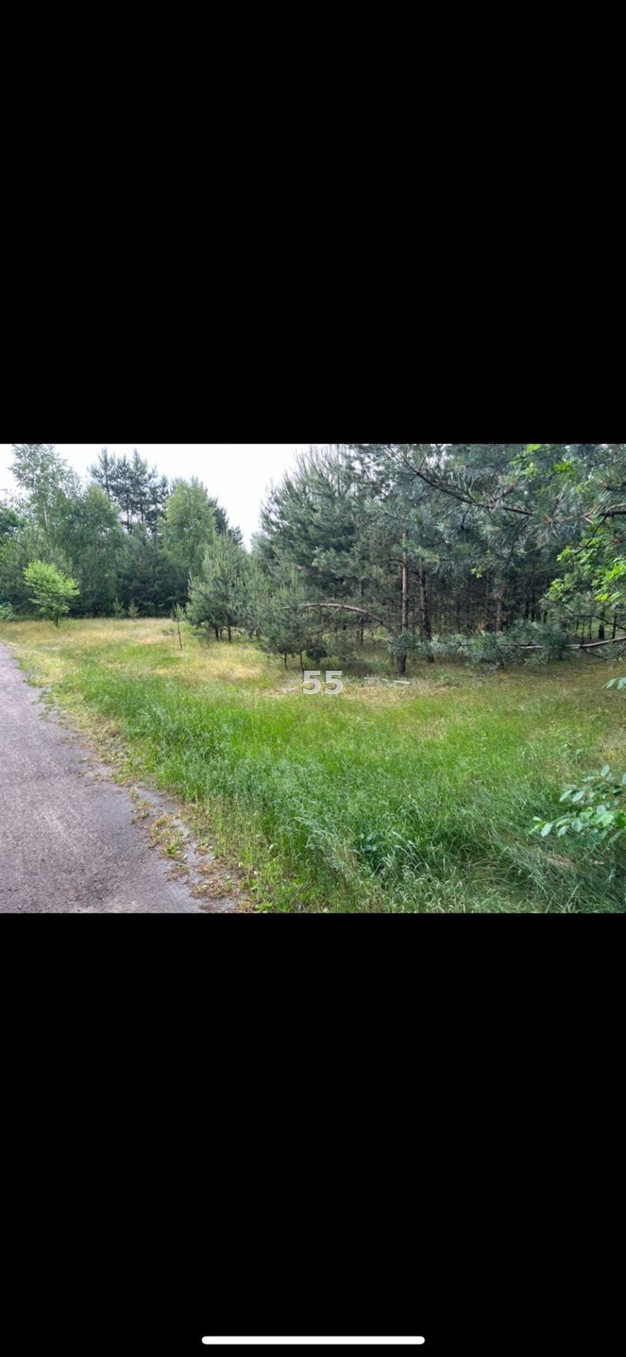 Działka inna na sprzedaż Rokitnica  1 195m2 Foto 5