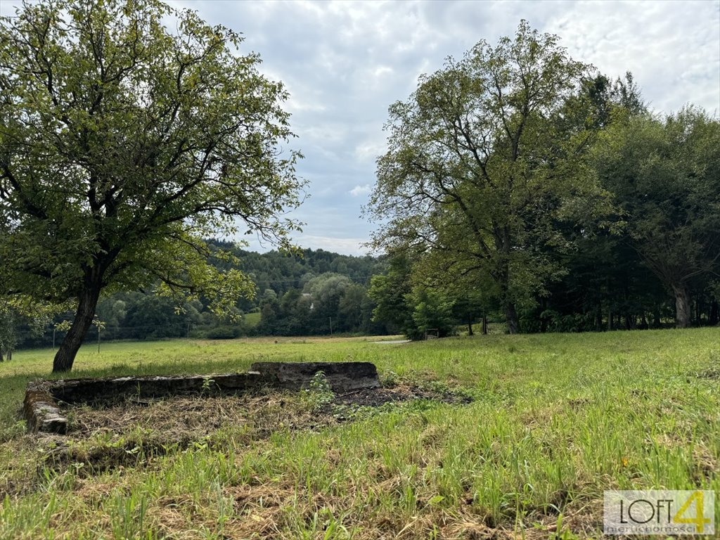 Działka inna na sprzedaż Buchcice  8 500m2 Foto 3