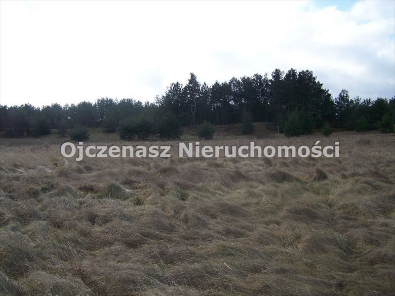 Działka inna na sprzedaż Czarże  3 996m2 Foto 4