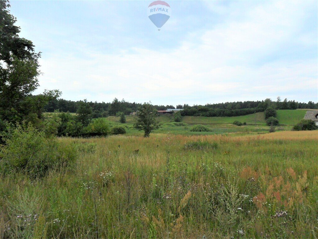 Działka budowlana na sprzedaż Bącka Huta  3 300m2 Foto 4