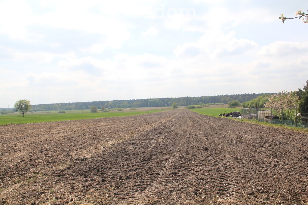 Dom na sprzedaż Jeżów  100m2 Foto 5