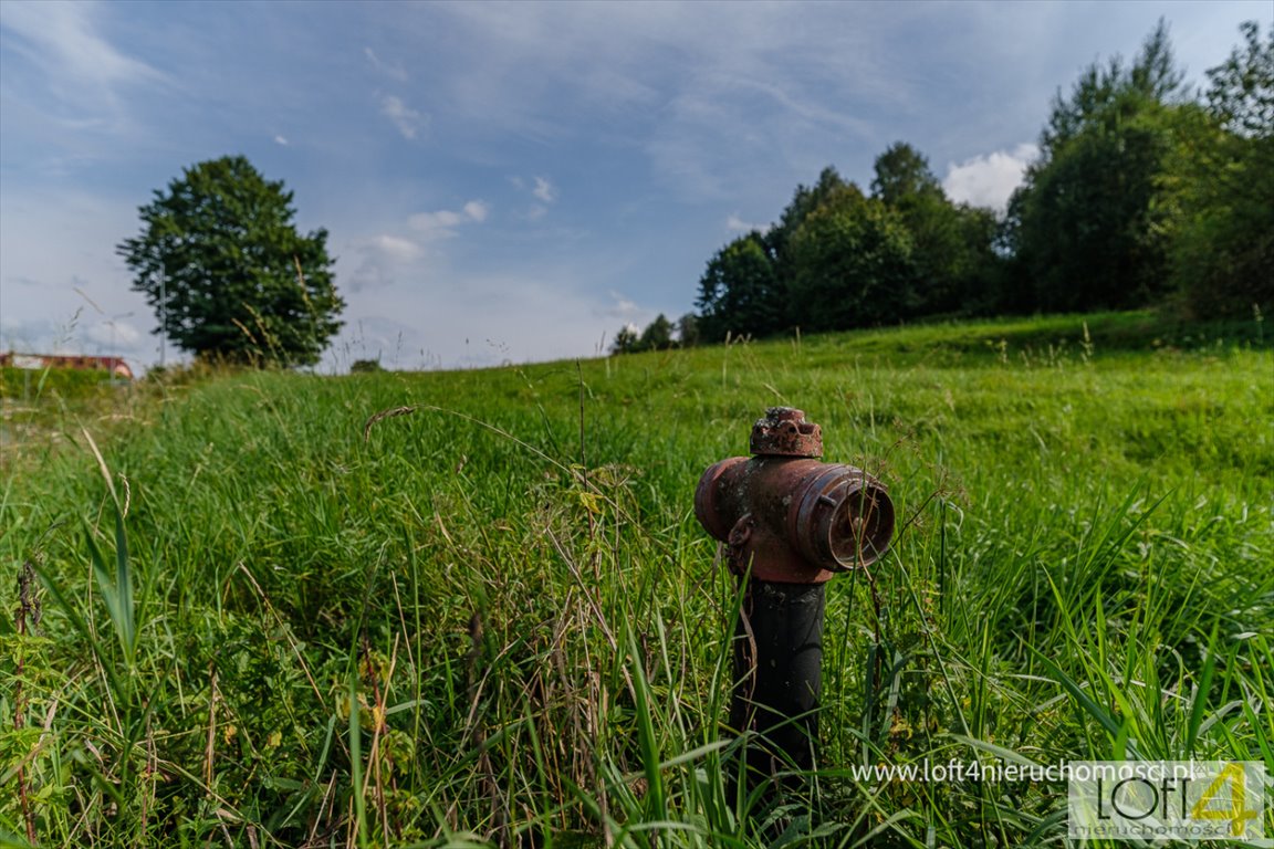 Działka budowlana na sprzedaż Myczków  8 319m2 Foto 10