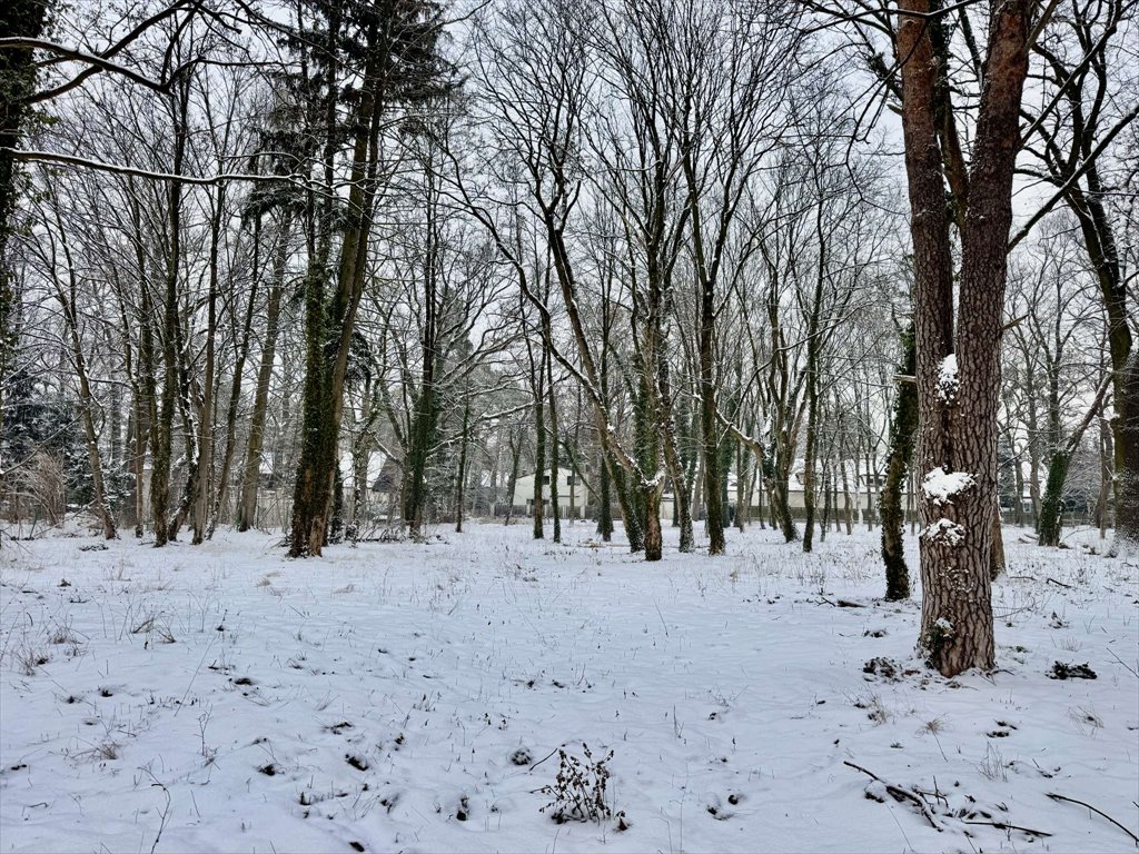 Działka 6470 m² z mediami, plan zabudowy, inwestycja piaseczyński  6 470m2 Foto 1