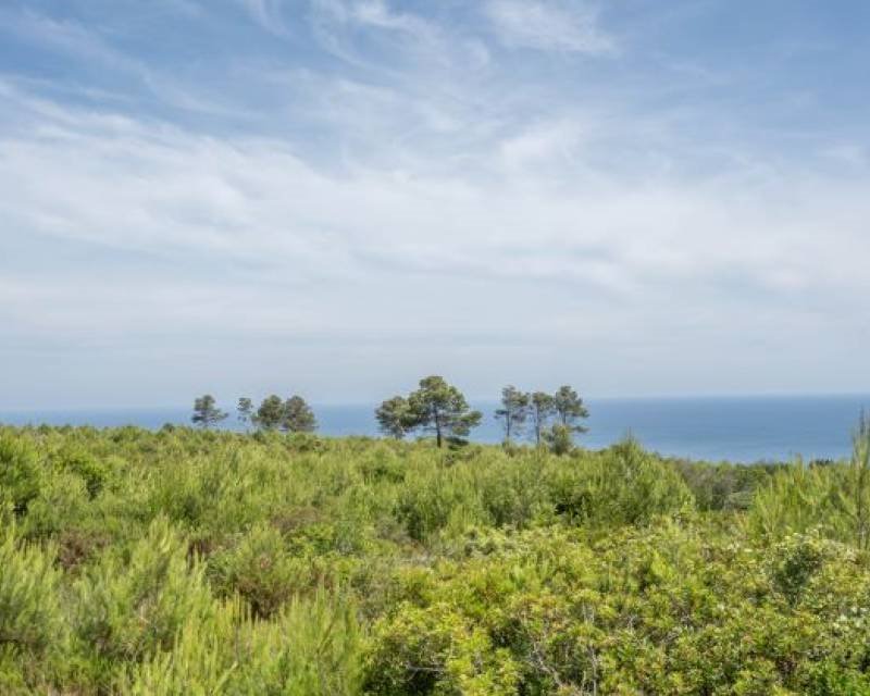 Działka budowlana na sprzedaż Hiszpania, Javea, Hiszpania, Cabo de Sant Antonio  6 000m2 Foto 3