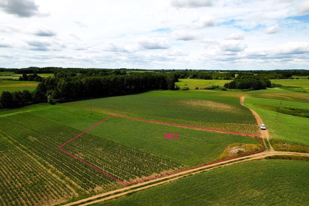 Działka rolna na sprzedaż Bartosze  3 500m2 Foto 5