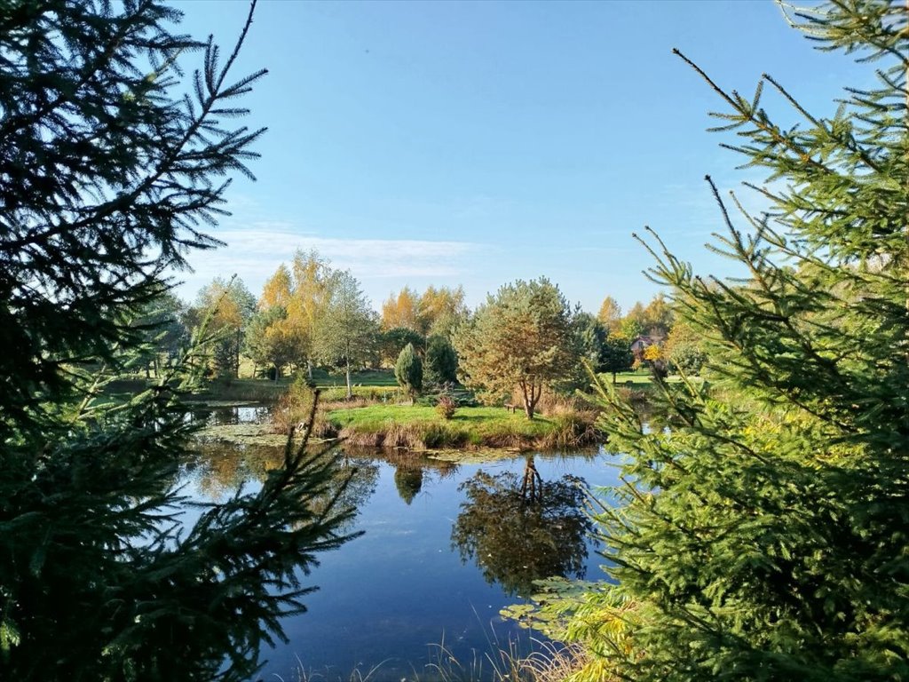 Działka siedliskowa na sprzedaż Strzeżewo  17 000m2 Foto 4