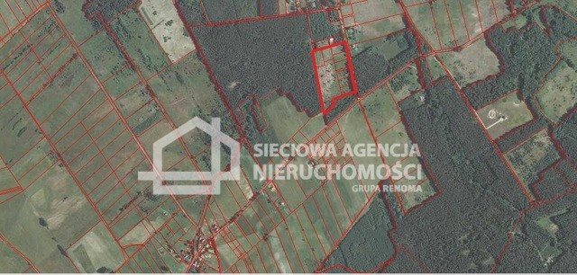 Działka siedliskowa na sprzedaż Szczenurze 3 359m2 Foto 1 Działka siedliskowa na sprzedaż Szczenurze 3 359m2 Foto 1