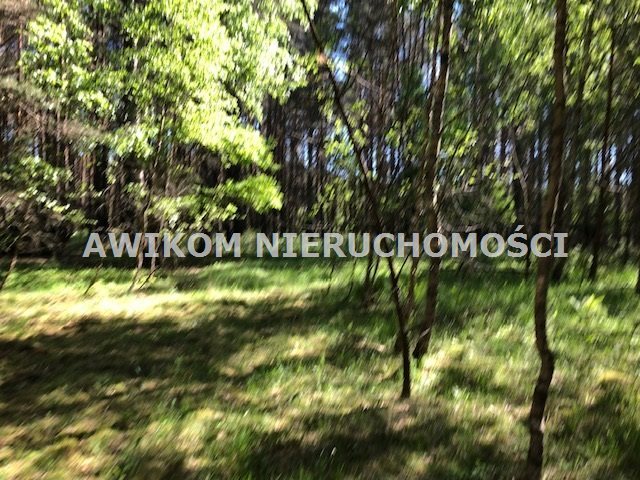 Działka leśna na sprzedaż Nidzica, Wały  32 825m2 Foto 4