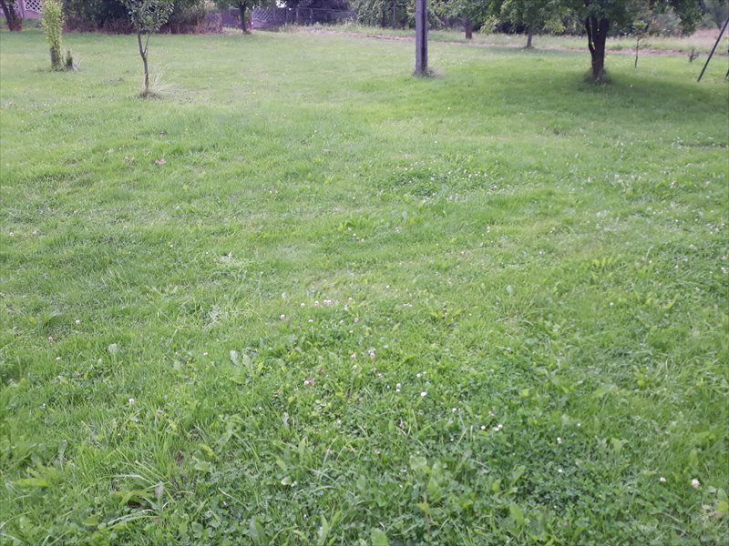 Działka budowlana na sprzedaż Żary 1 502m2 Foto 1 Działka budowlana na sprzedaż Żary 1 502m2 Foto 1