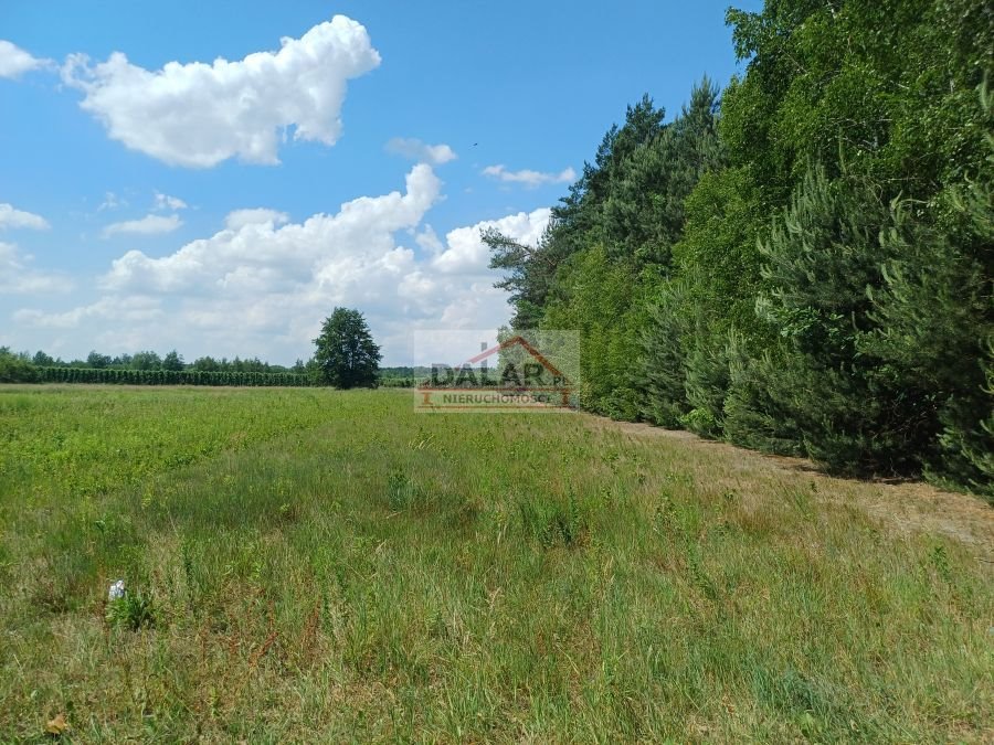 Działka inna na sprzedaż Warka, Borowe  3 000m2 Foto 1