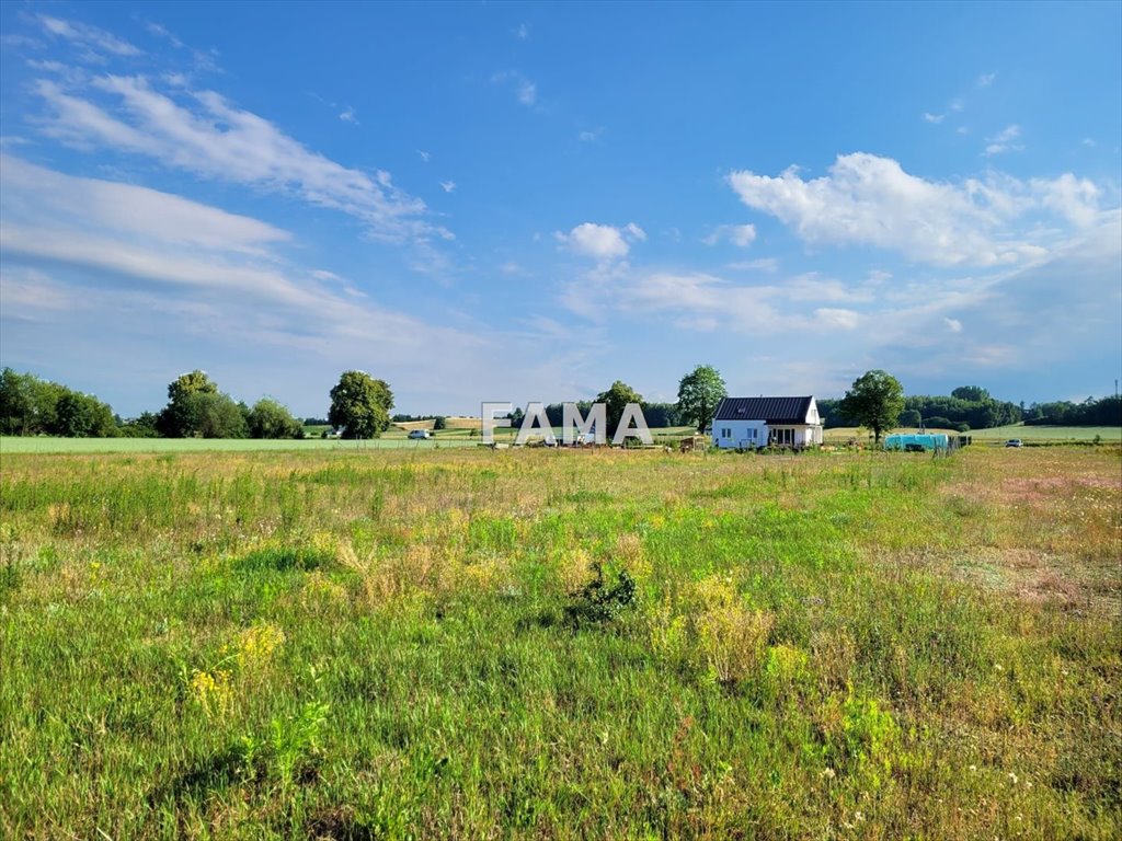 Działka budowlana na sprzedaż Baruchowo  1 000m2 Foto 1