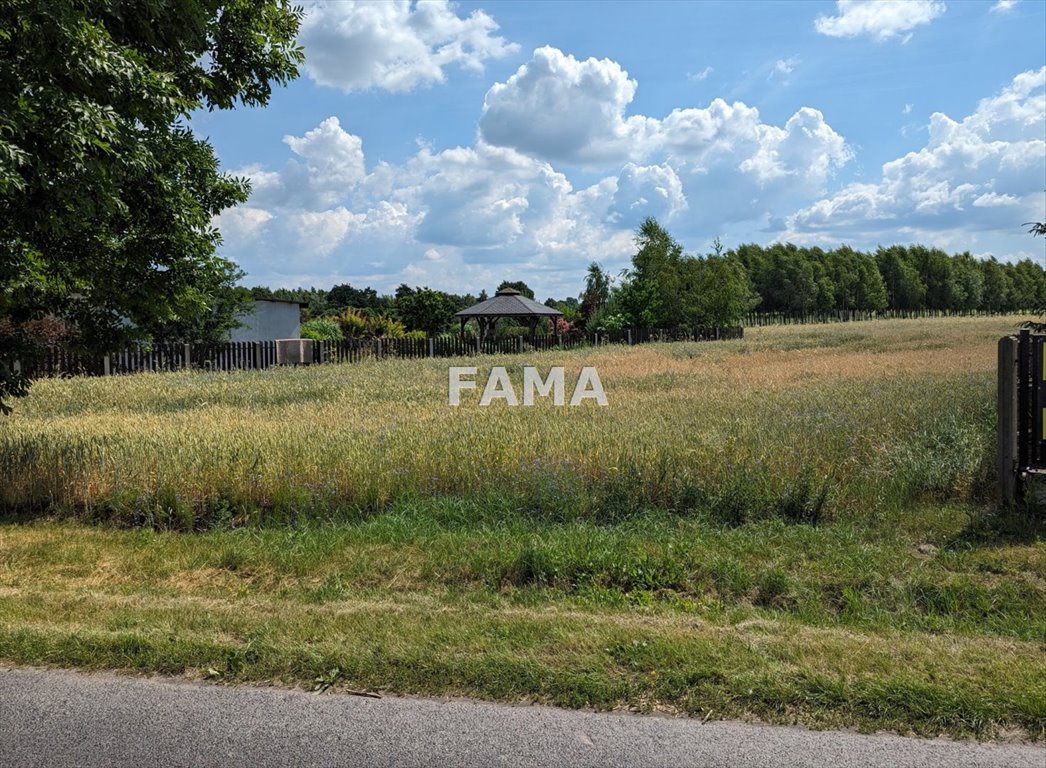 Działka budowlana na sprzedaż Dobrzyń nad Wisłą, Chalin  1 450m2 Foto 4