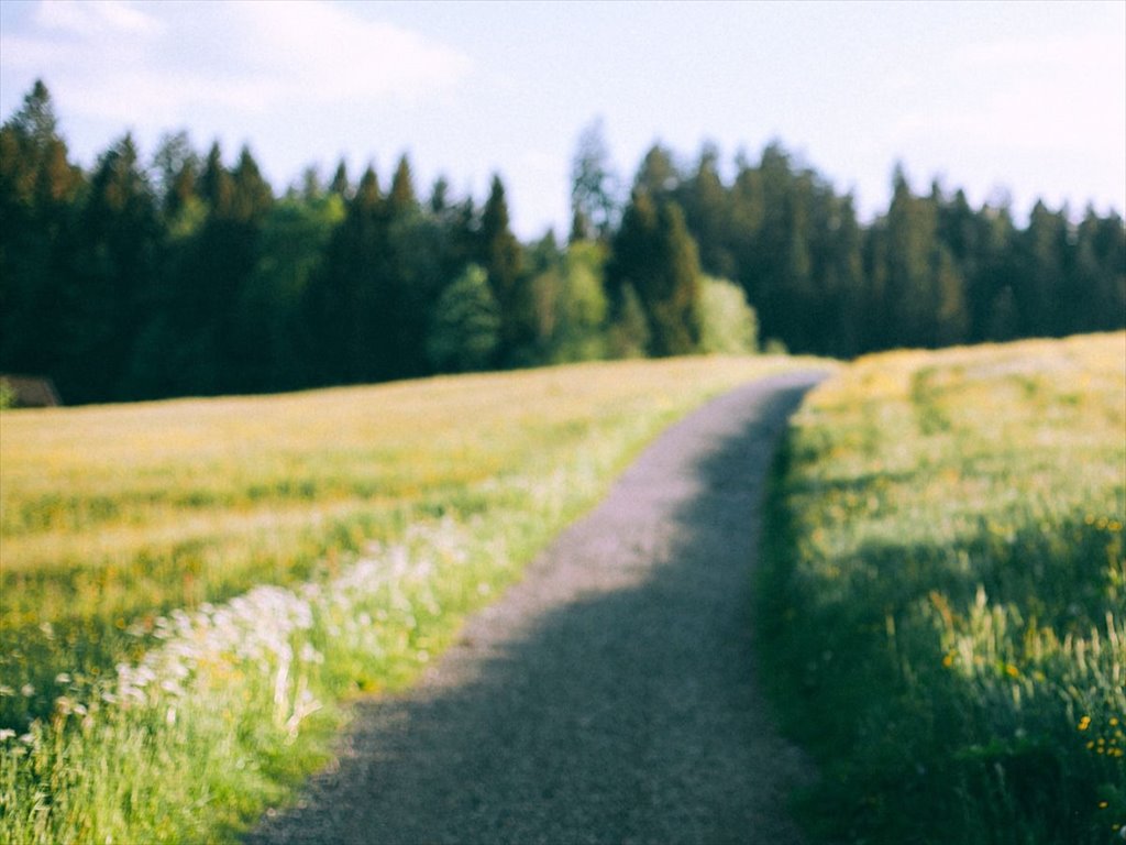 Działka budowlana na sprzedaż Kowalowce  1 000m2 Foto 3