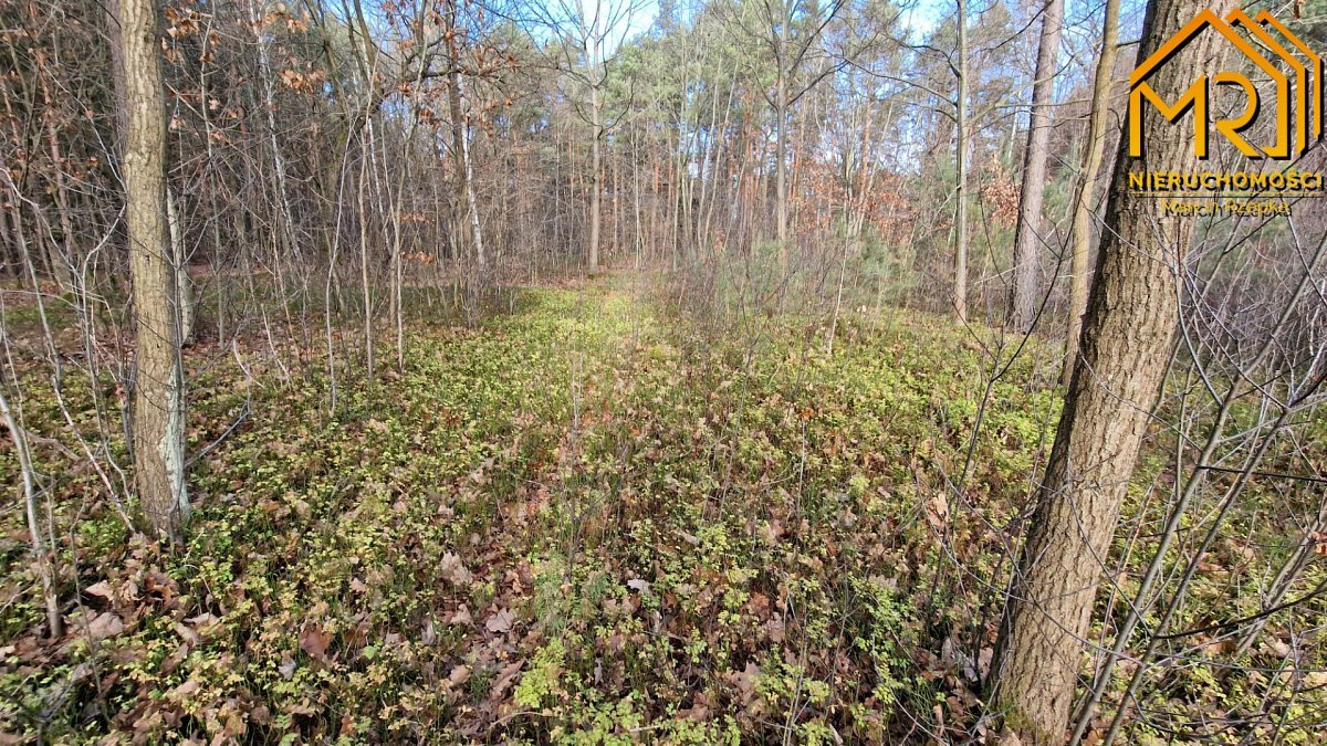 Działka rolna na sprzedaż Stare Żukowice  2 200m2 Foto 11