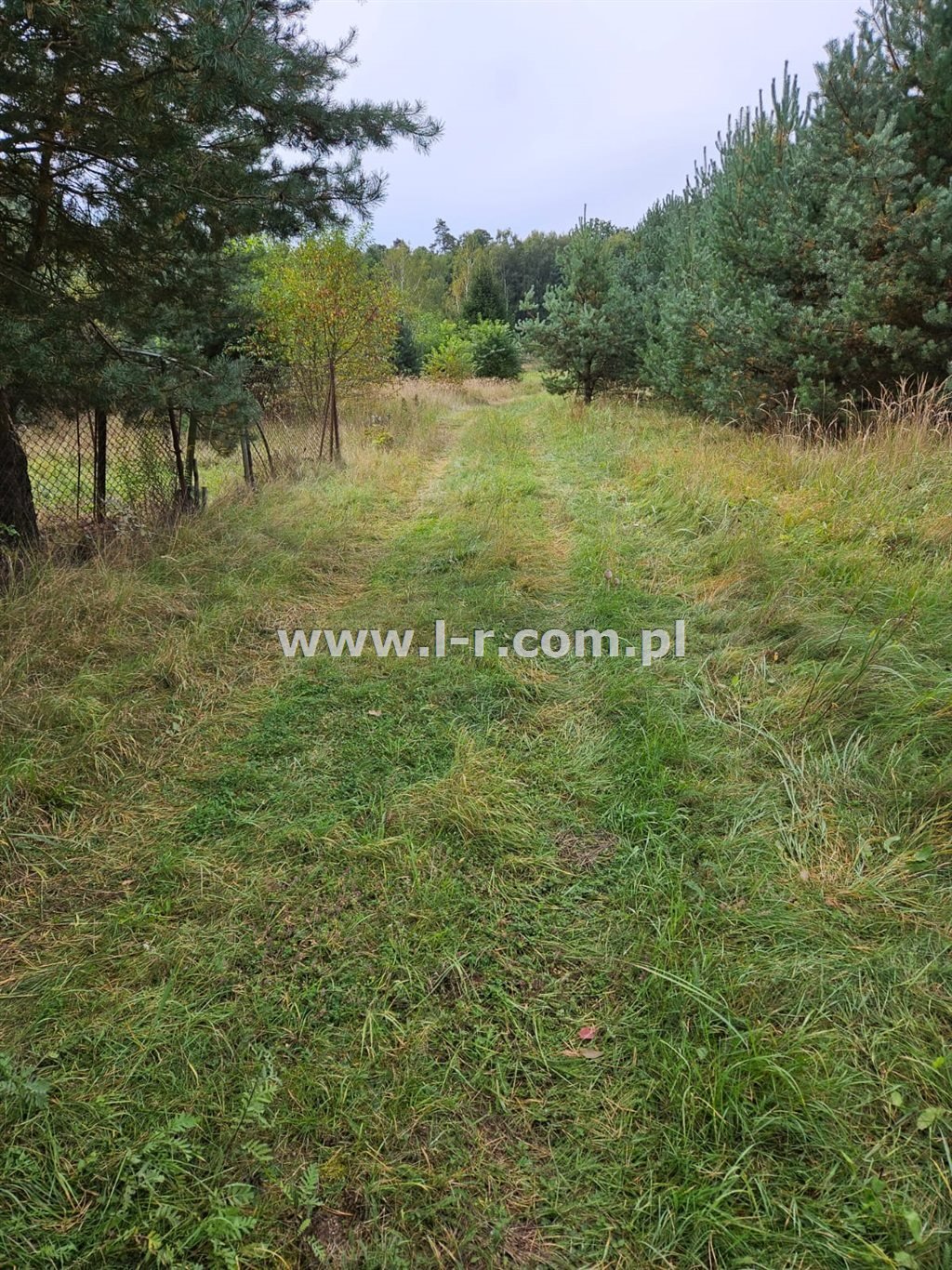 Działka leśna na sprzedaż Sumina, Dworcowa  6 820m2 Foto 9