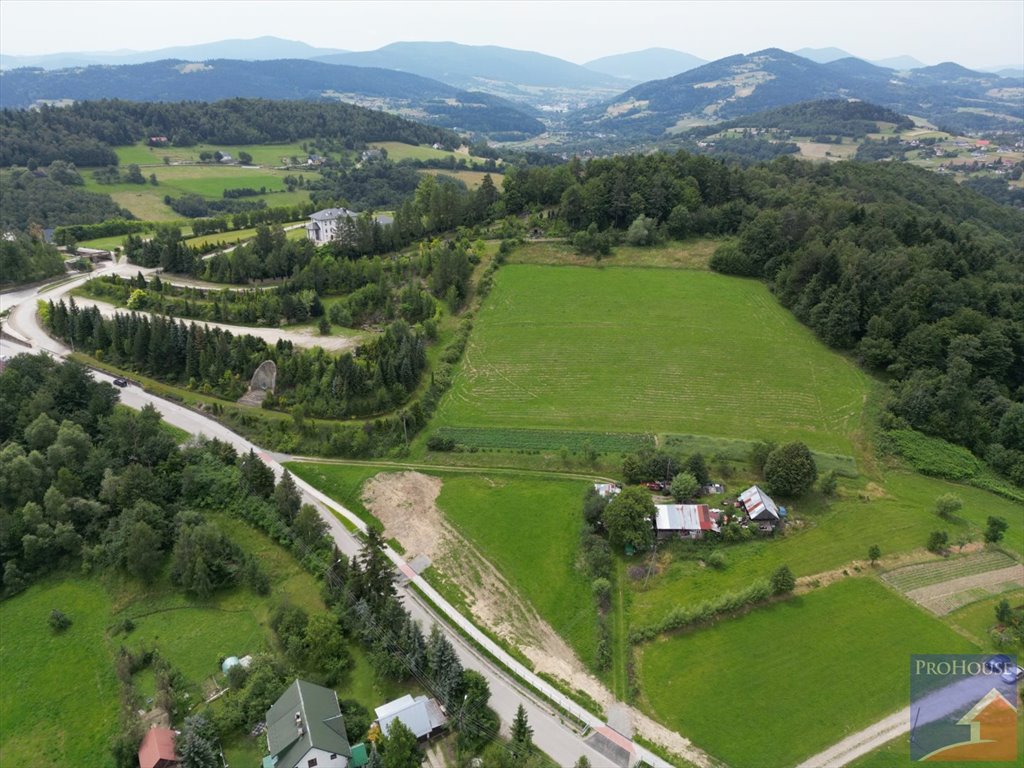 Działka budowlana na sprzedaż Pasierbiec  3 000m2 Foto 4