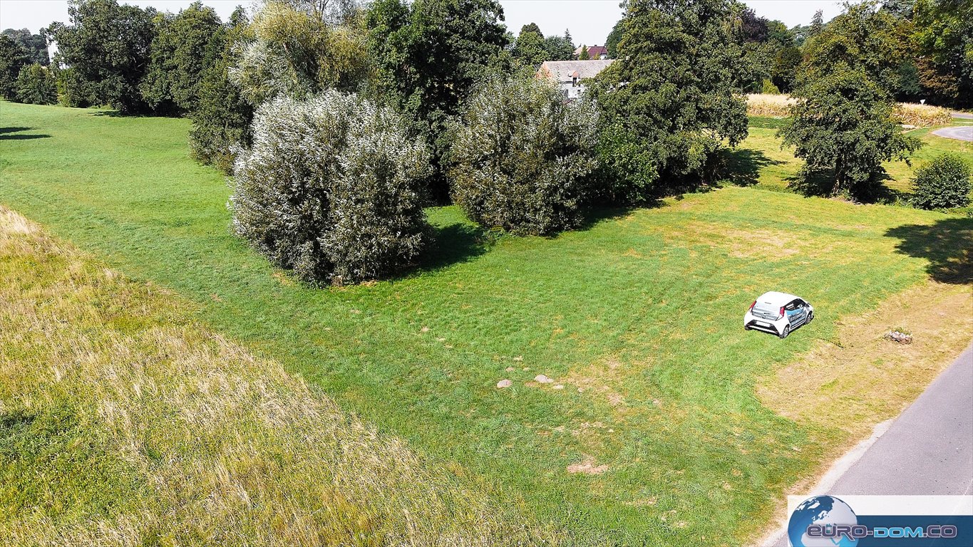 Działka budowlana na sprzedaż Borucin  15 658m2 Foto 13