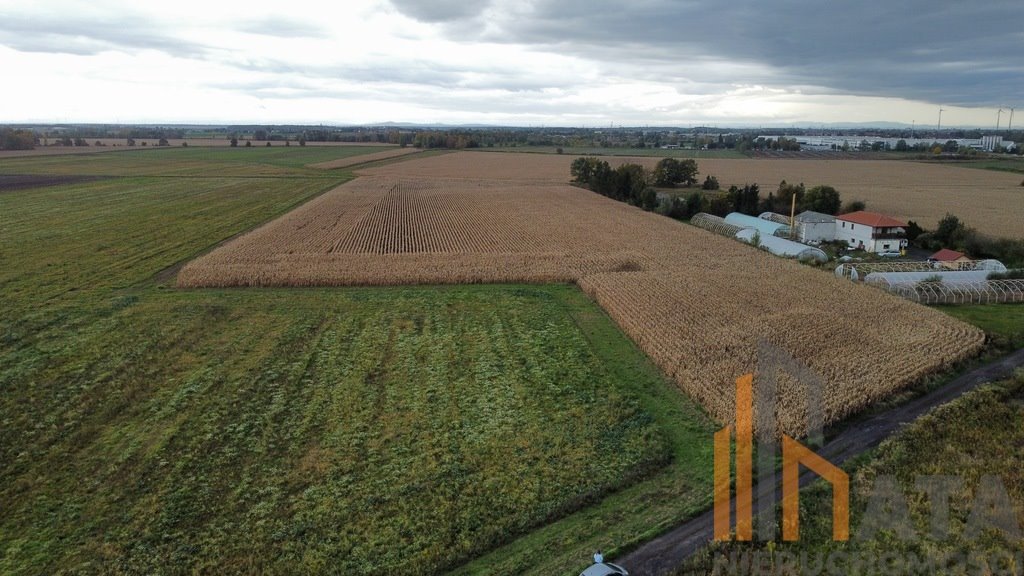 Działka komercyjna na sprzedaż Ścinawa Polska  4 300m2 Foto 3