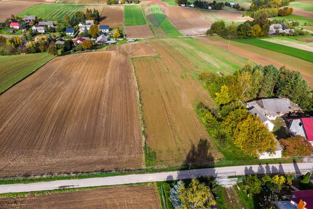 Działka budowlana na sprzedaż Krępa  2 600m2 Foto 12