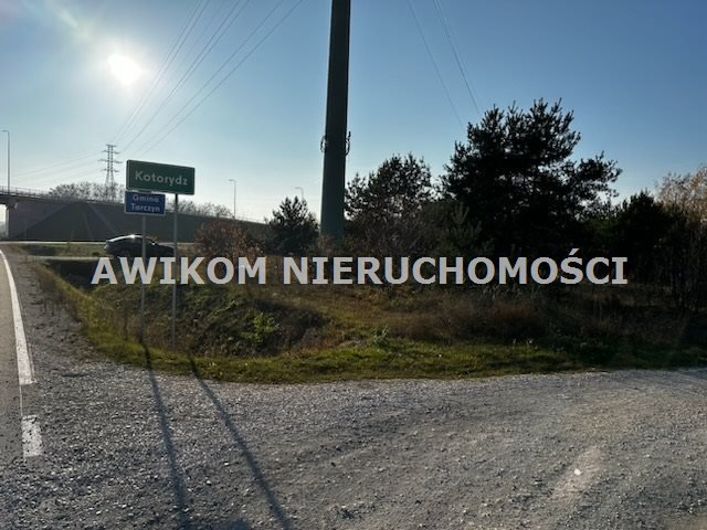 Działka inwestycyjna na sprzedaż Kotorydz  11 300m2 Foto 4