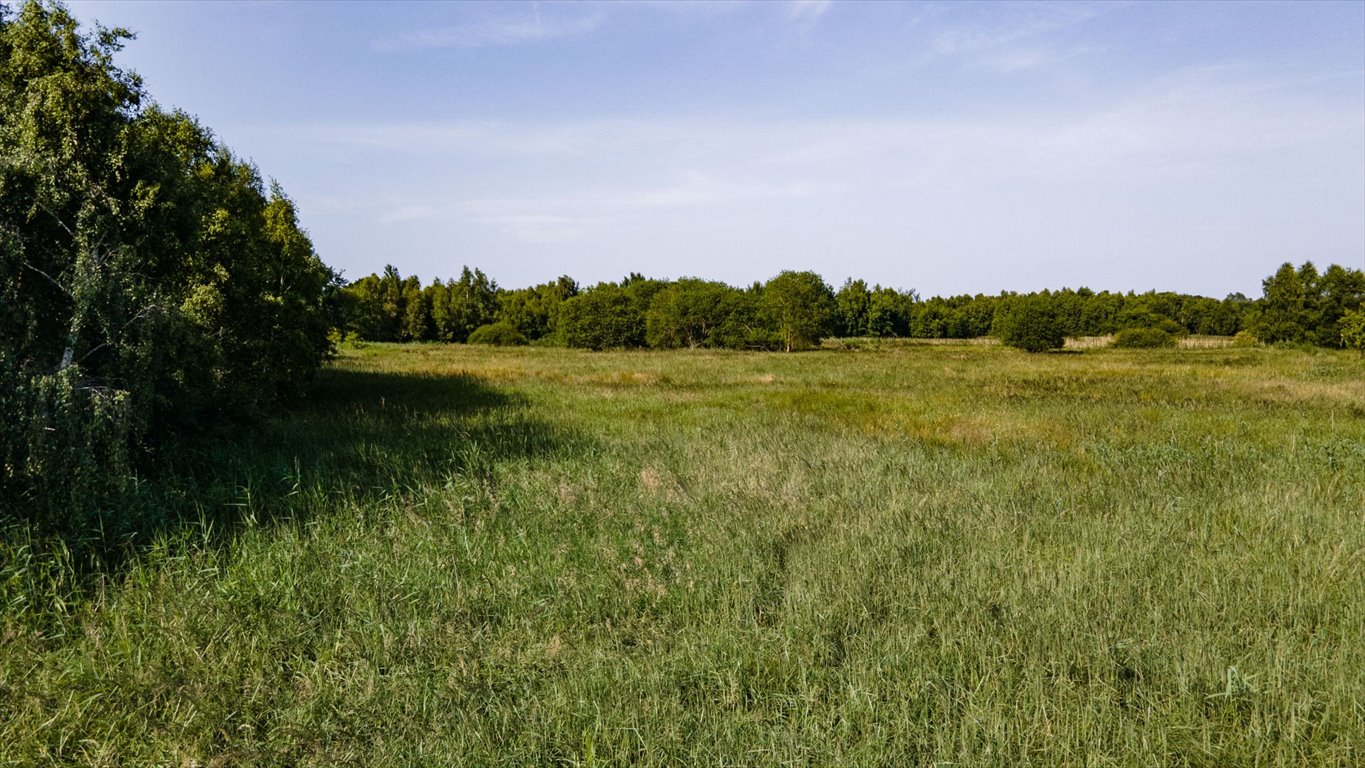 Działka budowlana na sprzedaż Kołobrzeg, Dźwirzyno  98 230m2 Foto 6