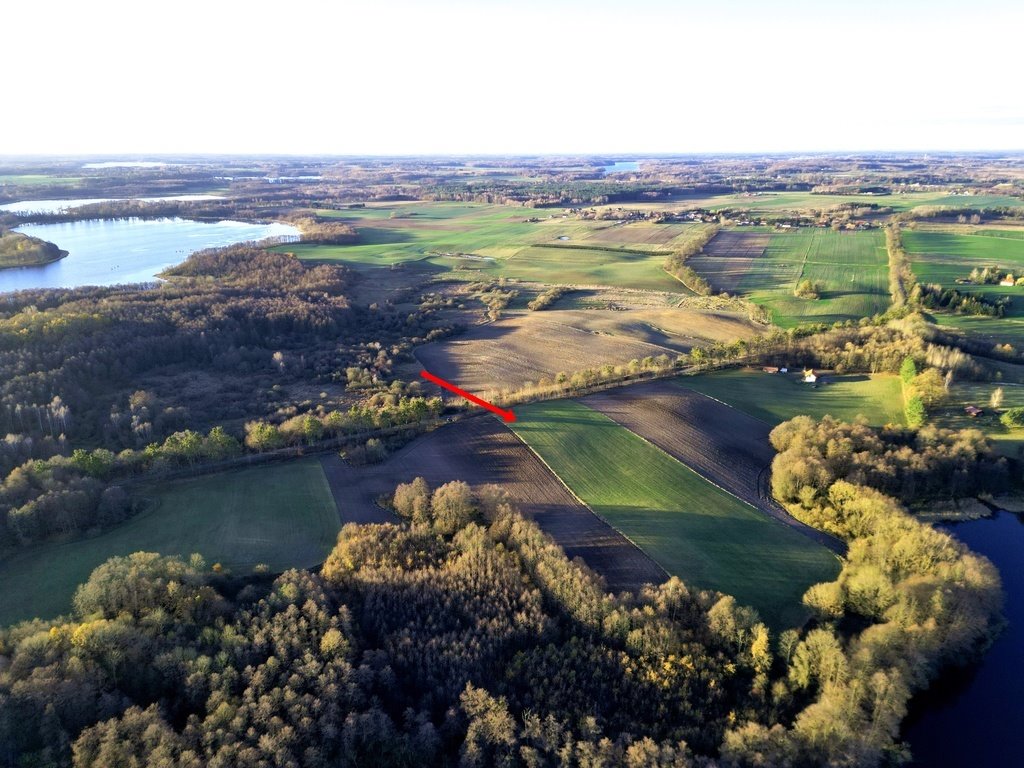 Działka rolna na sprzedaż Wielowieś  24 300m2 Foto 6