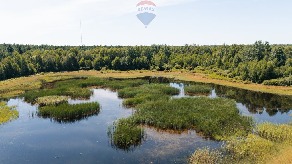 Działka inna na sprzedaż Sierpc  235 800m2 Foto 4