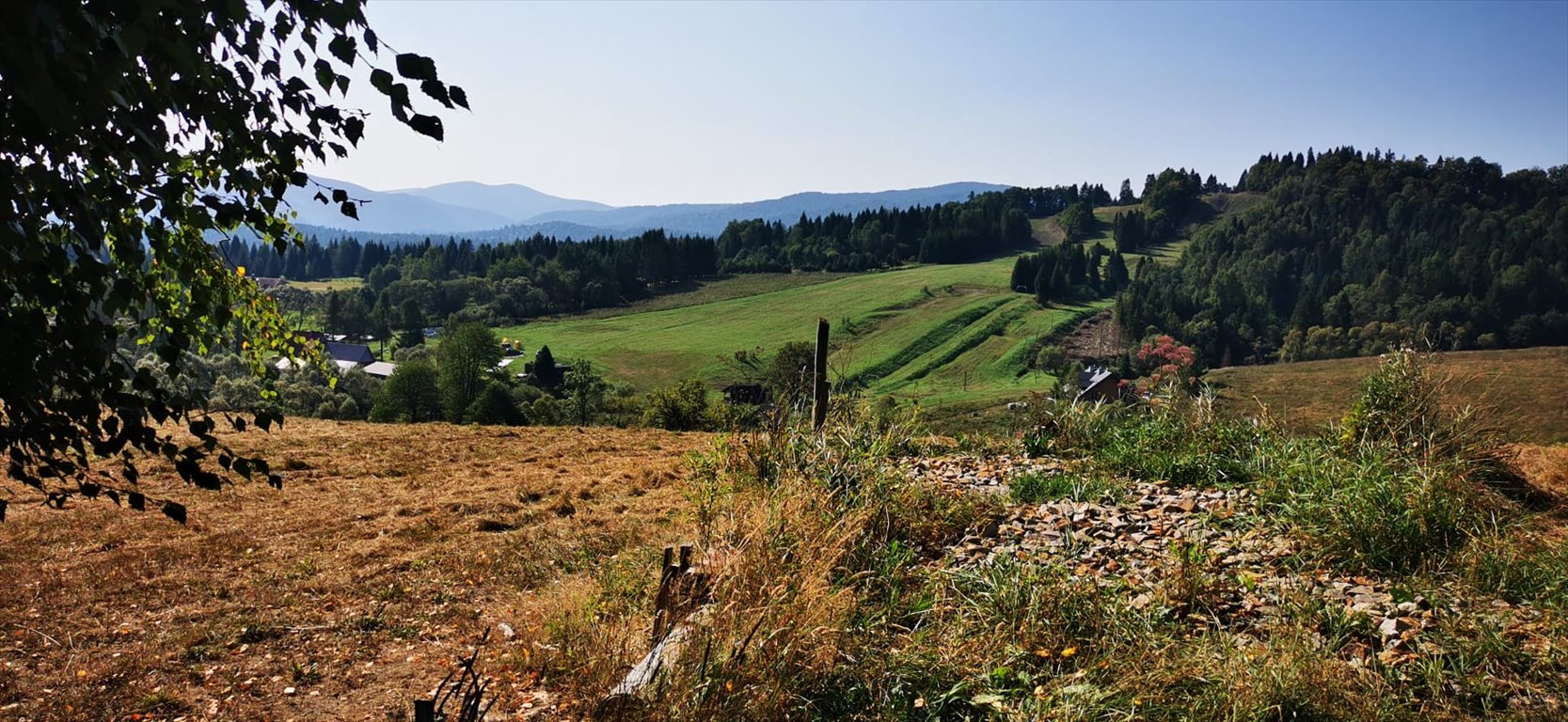 Działka budowlana na sprzedaż Kalnica, gm. Cisna, koło Wetliny  5 000m2 Foto 12