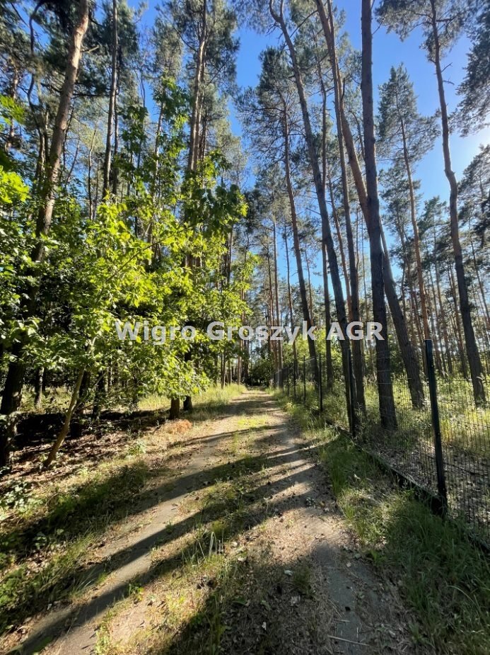 Działka inna na sprzedaż Pieńków  3 000m2 Foto 6