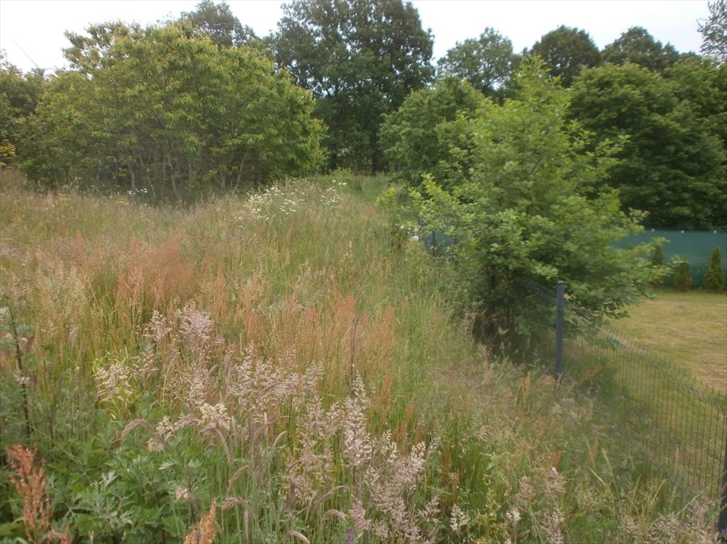 Działka budowlana na sprzedaż Sulimice, Darłowo  1 000m2 Foto 15