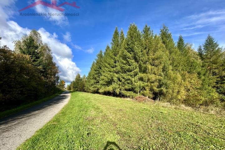 Do sprzedania urokliwa działka 30 ar z widokiem na las Korczyna  3 000m2 Foto 1