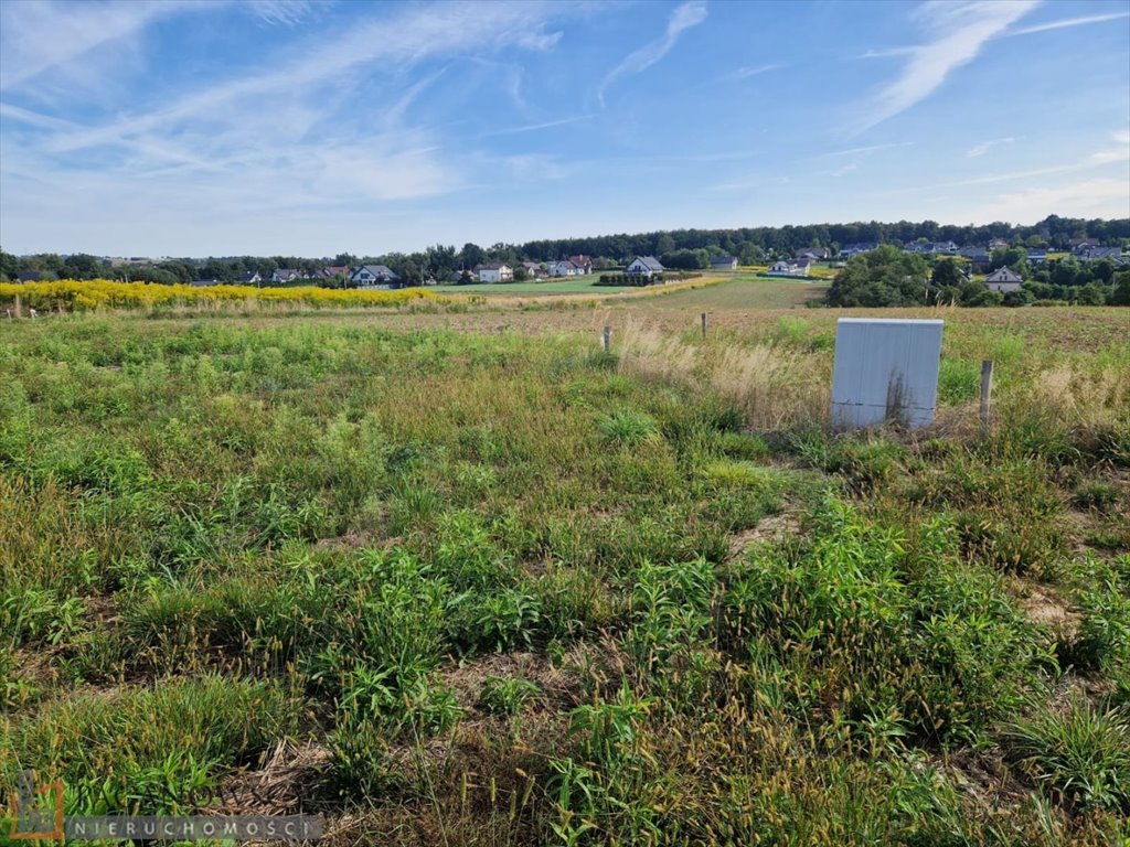 Działka budowlana na sprzedaż Masłomiąca  800m2 Foto 3