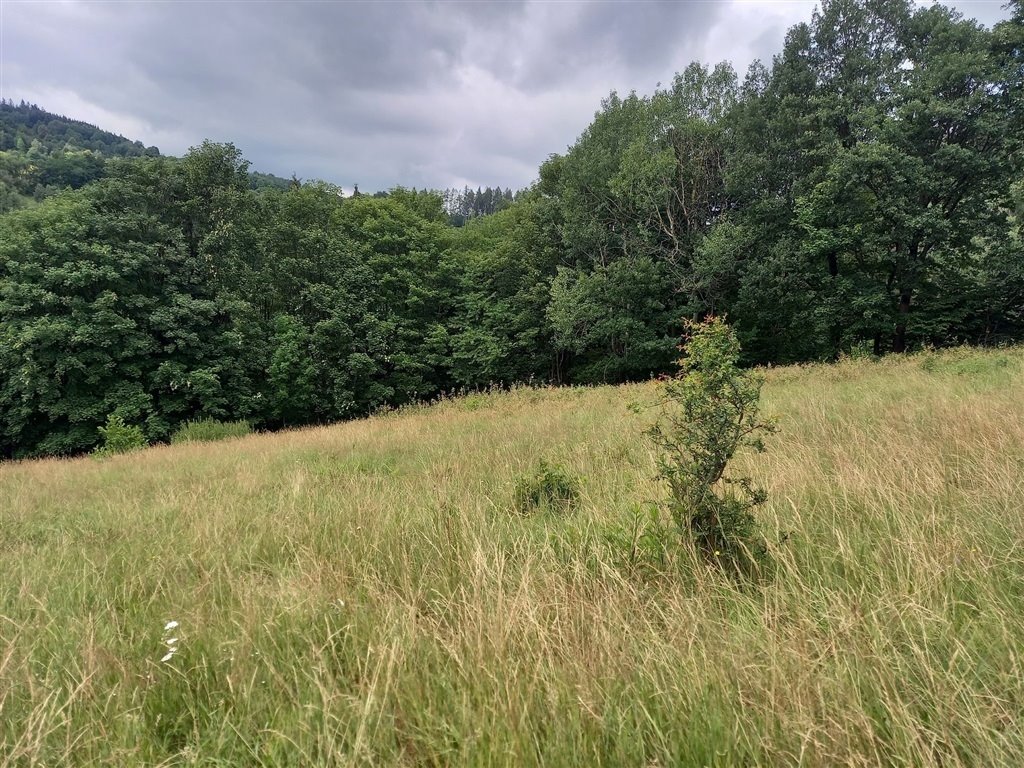 Działka budowlana na sprzedaż Walim  6 340m2 Foto 9