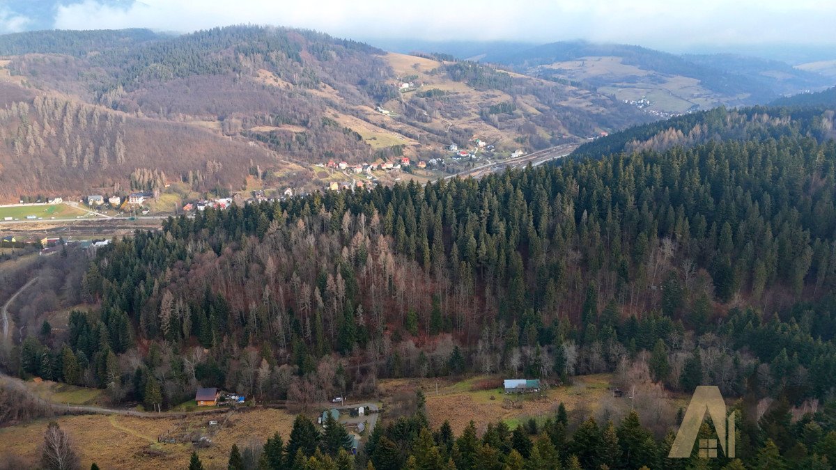 Działka budowlana na sprzedaż Muszyna  1 959m2 Foto 11