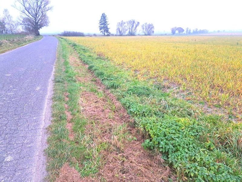 Działka budowlana na sprzedaż Książnica  3 000m2 Foto 1