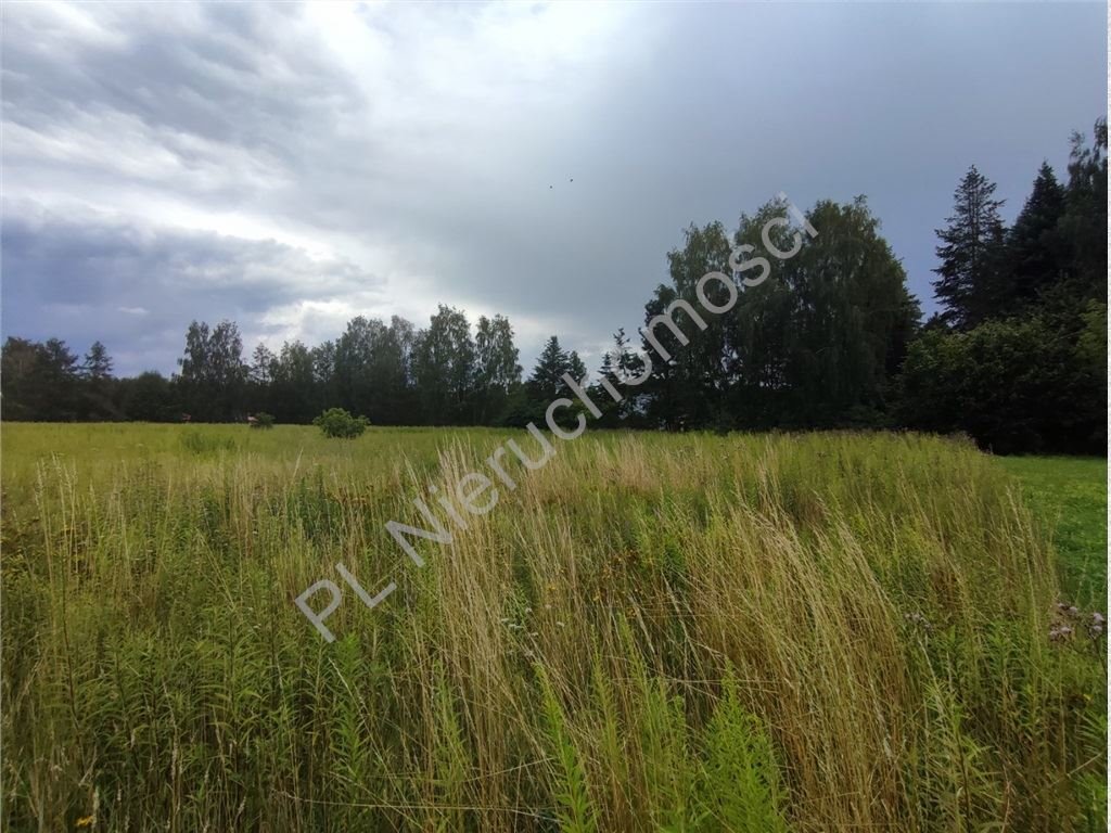 Działka budowlana 1662 m² w Opypach, MPZP - polecam! Opypy  1 662m2 Foto 1