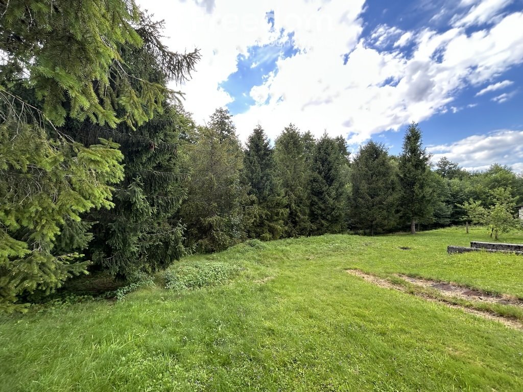 Działka budowlana na sprzedaż Roczyny, Graniczna Górna  1 400m2 Foto 1